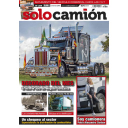 SOLO CAMION Nº339